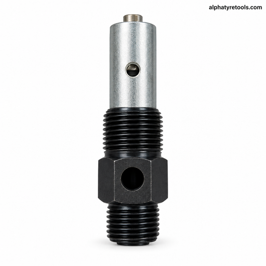 3/4 Inch Non Return Valve (NRV)